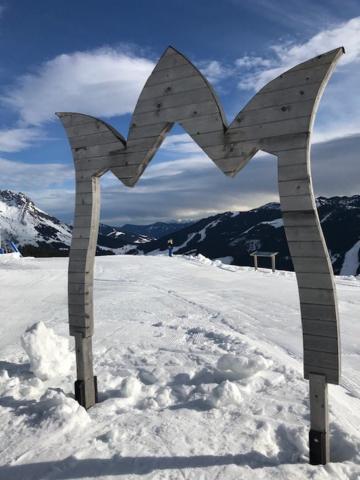 Tauernlodge Sonnblick Top 3 Mühlbach am Hochkönig 外观 照片